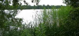 Krajowe jezioro
