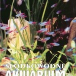 „Słodkowodne akwarium ozdobne” aut. Krzysztof Teisseyre